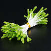 Тычинки на нитке Зелёные морозные, 50 шт фото 1